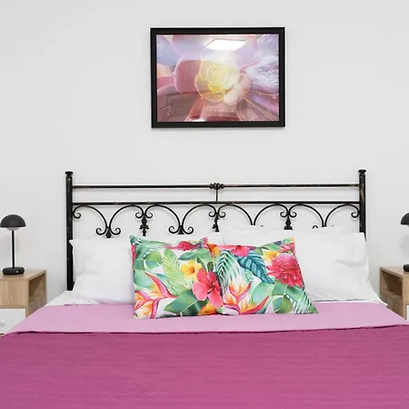 Appartamento Cactus House